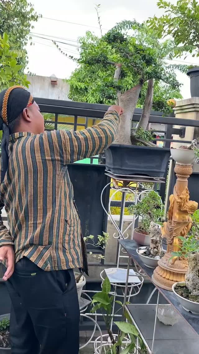 berita-ig